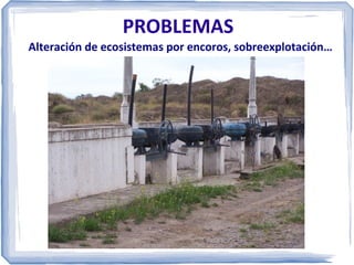 PROBLEMAS
Alteración de ecosistemas por encoros, sobreexplotación…

 
