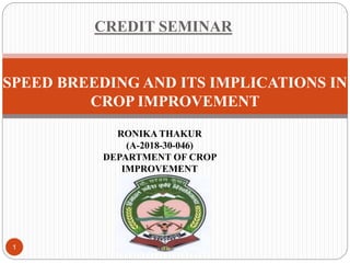 CREDIT SEMINAR
SPEED BREEDING AND ITS IMPLICATIONS IN
CROP IMPROVEMENT
RONIKA THAKUR
(A-2018-30-046)
DEPARTMENT OF CROP
IMPROVEMENT
1
 