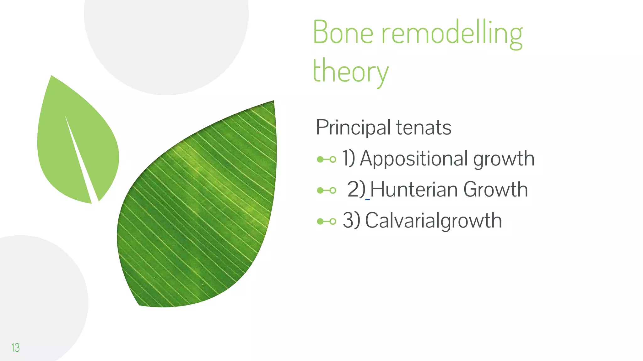 Bone remodelling
theory
Principal tenats
⊷ 1) Appositional growth
⊷ 2) Hunterian Growth
⊷ 3) Calvarialgrowth
13
 