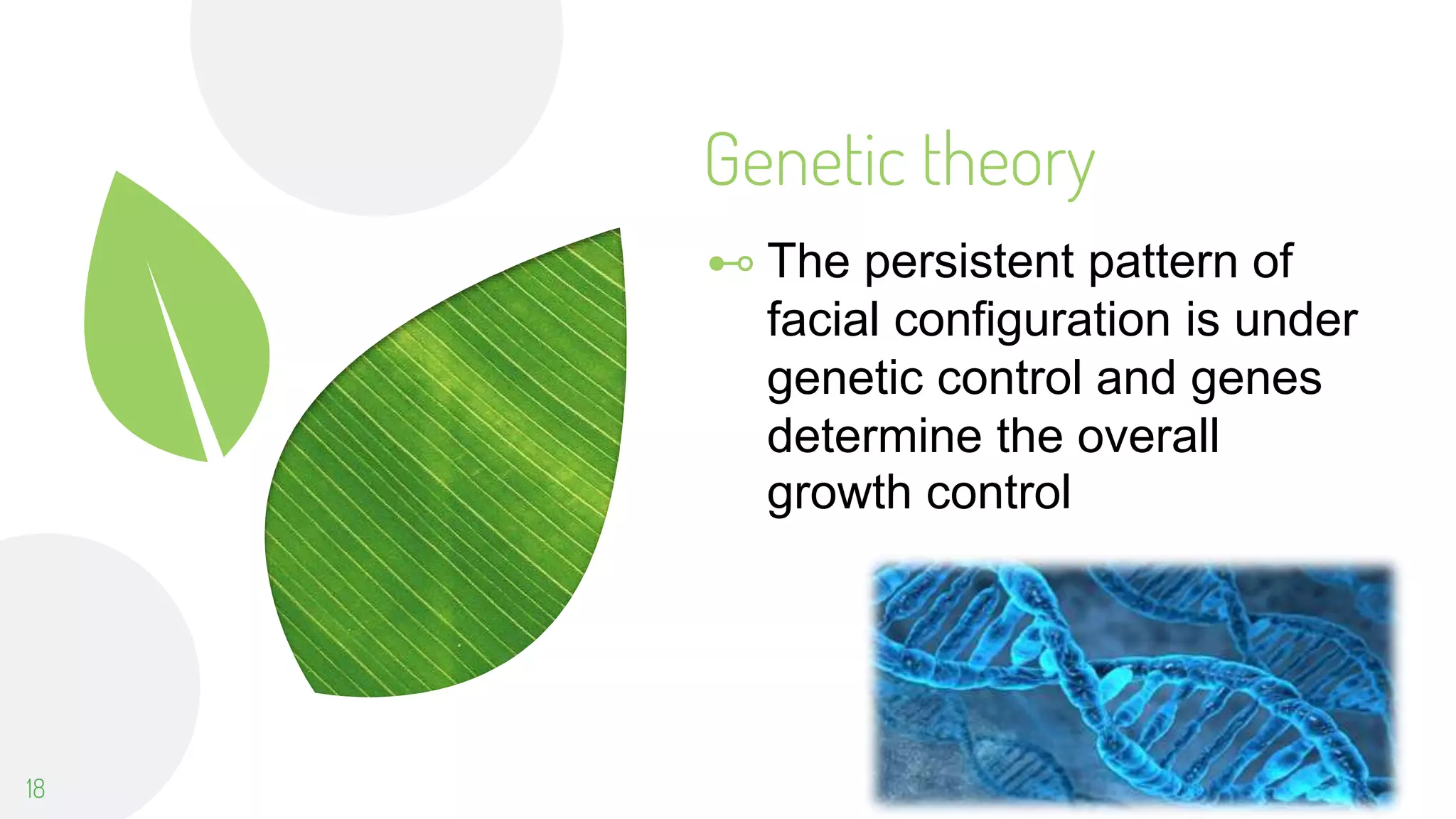 Genetic theory
⊷ The persistent pattern of
facial configuration is under
genetic control and genes
determine the overall
growth control
18
 