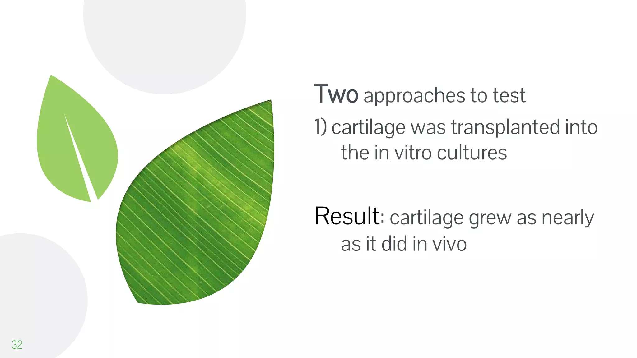 Two approaches to test
1) cartilage was transplanted into
the in vitro cultures
Result: cartilage grew as nearly
as it did in vivo
32
 