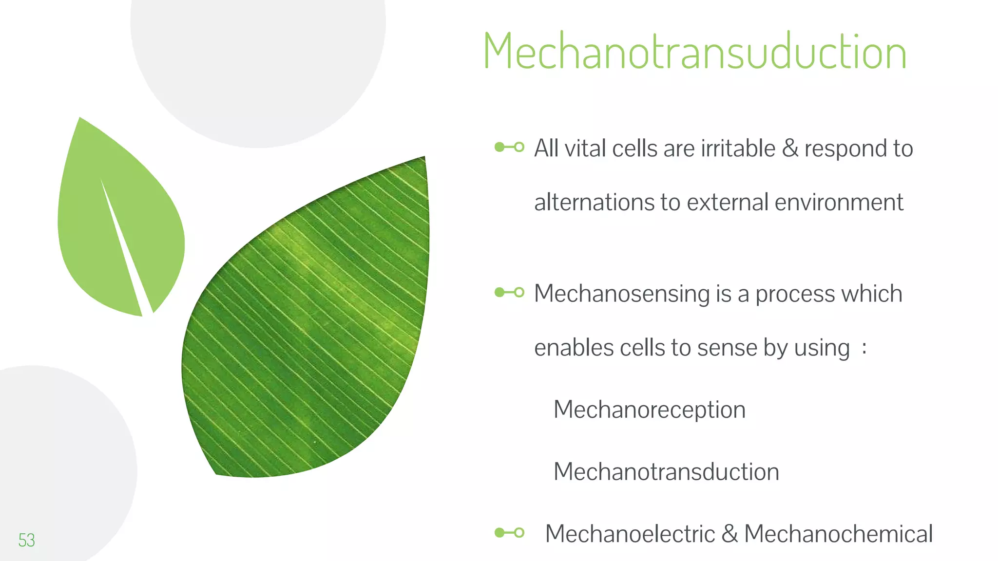 Mechanotransuduction
⊷ All vital cells are irritable & respond to
alternations to external environment
⊷ Mechanosensing is a process which
enables cells to sense by using :
Mechanoreception
Mechanotransduction
⊷ Mechanoelectric & Mechanochemical53
 