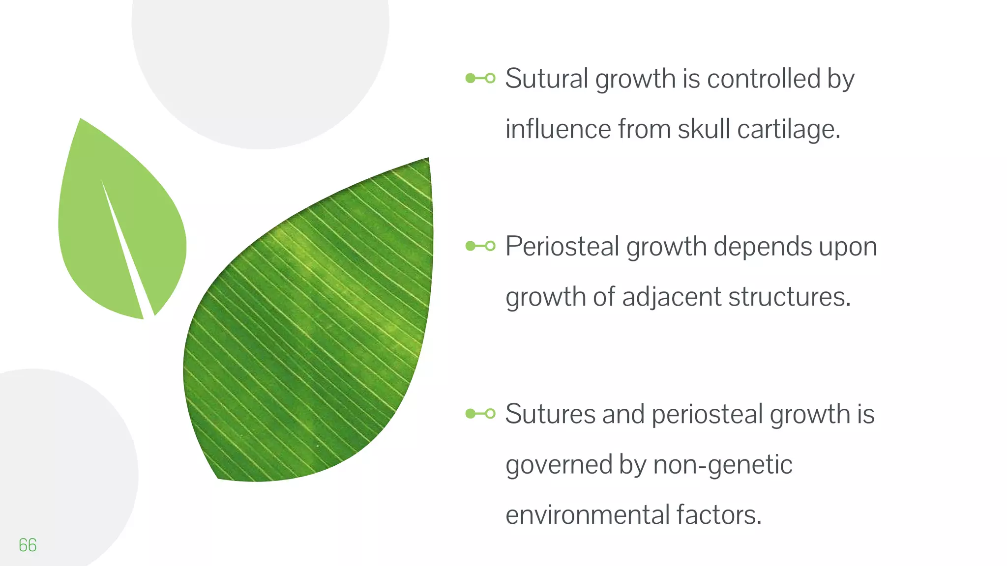 ⊷ Sutural growth is controlled by
influence from skull cartilage.
⊷ Periosteal growth depends upon
growth of adjacent structures.
⊷ Sutures and periosteal growth is
governed by non-genetic
environmental factors.
66
 