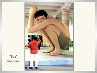 “ Boy”, dimensión. 