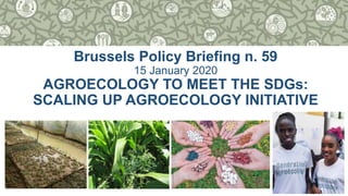 1
Brussels Policy Briefing n. 59
15 January 2020
AGROECOLOGY TO MEET THE SDGs:
SCALING UP AGROECOLOGY INITIATIVE
 