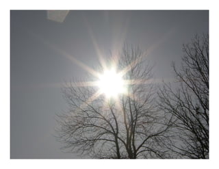 Eulogy for Chusa Ginés, CIAT Cali, May 12, 2010