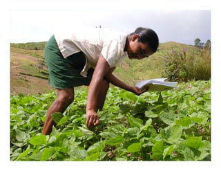 Eulogy for Chusa Ginés, CIAT Cali, May 12, 2010