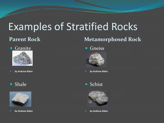 Examples of Stratified Rocks
Parent Rock           Metamorphosed Rock
 Granite              Gneiss



   by Andrew Alden      by Andrew Alden




 Shale                Schist




   by Andrew Alden      by Andrew Alden
 