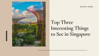 RONNY TOME
Top Three
Interesting Things
to See in Singapore
 