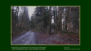 Vzpnemo se po gozdni poti. Na naši levi je usmerjevalni
znak. (Fotografija se ozira v smer, od koder smo prišli).
Od tu da...