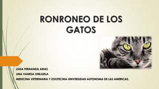 RONRONEO DE LOS
GATOS
LUISA FERNANDA ARIAS
LINA VANESA OREJUELA
MEDICINA VETERINARIA Y ZOOTECNIA UNIVERSIDAD AUTONOMA DE LAS AMERICAS.
 