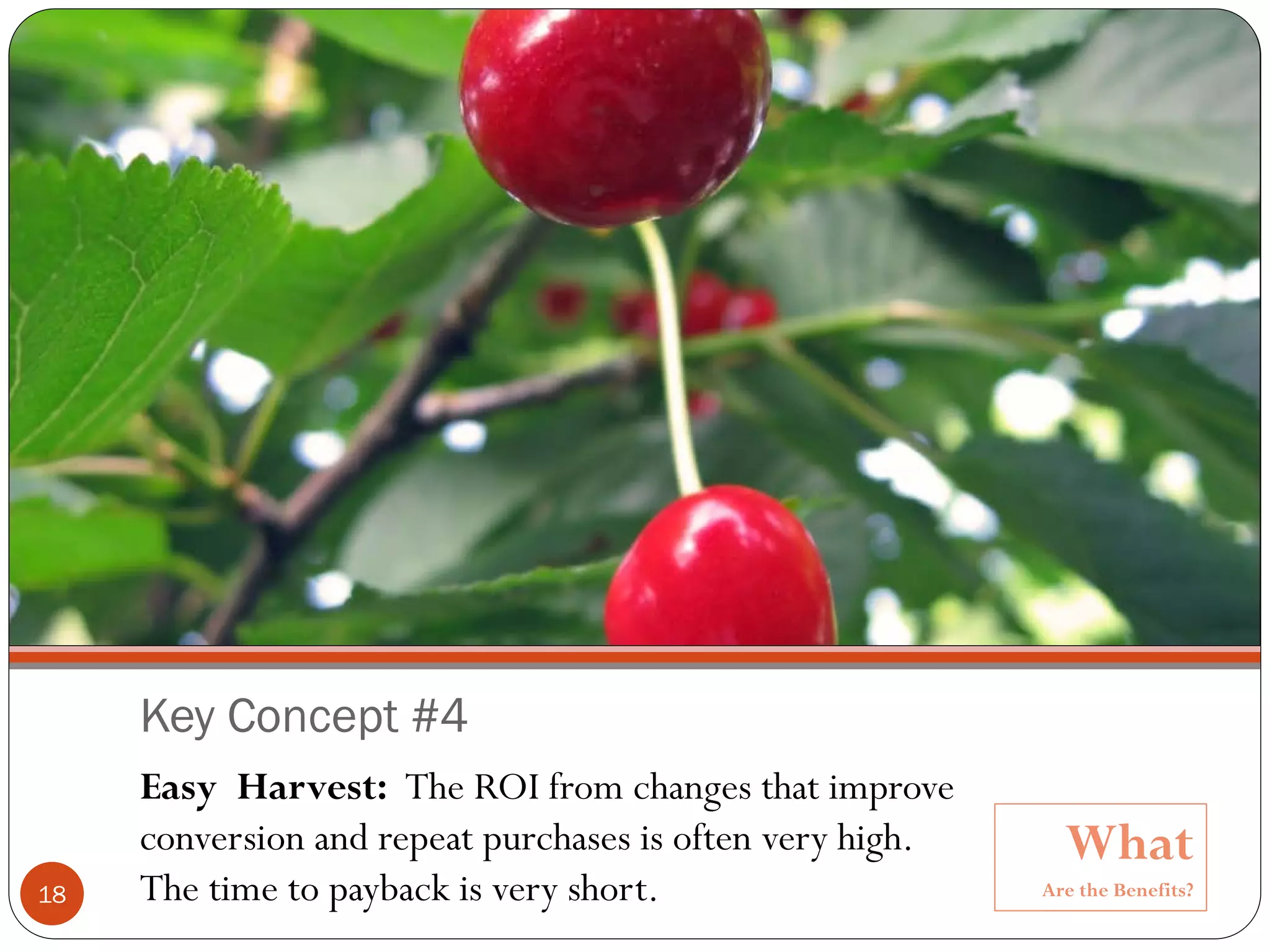Copyright @ 2010, Ronald D. Ryan




     Key Concept #4
     Easy Harvest: The ROI from changes that improve
     conversion and repeat purchases is often very high.              What
18   The time to payback is very short.                             Are the Benefits?
 