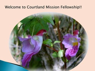 Welcome to Courtland Mission Fellowship!! 