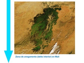 Zona de anegamento (delta interior) en Mali
 