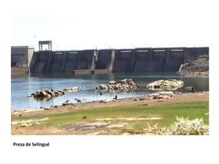 Presa de Selingué
 