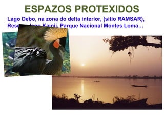 Lago Debo, na zona do delta interior, (sitio RAMSAR),
Reserva lago Kainji, Parque Nacional Montes Loma…
ESPAZOS PROTEXIDOS
 