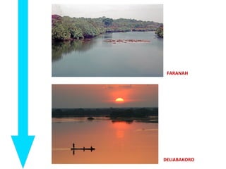 DELIABAKORO
FARANAH
 