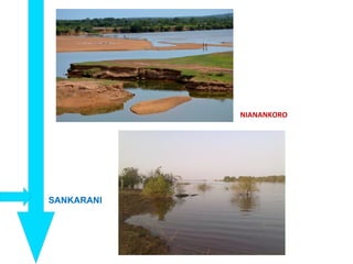 SANKARANI
NIANANKORO
 