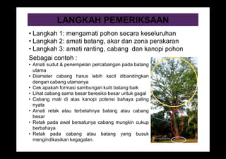LANGKAH PEMERIKSAAN
• Langkah 1: mengamati pohon secara keseluruhan
• Langkah 2: amati batang, akar dan zona perakaran
• Langkah 3: amati ranting, cabang dan kanopi pohon
Sebagai contoh :
• Amati sudut & penempelan percabangan pada batang
utama
• Diameter cabang harus lebih kecil dibandingkan
dengan cabang utamanya
• Cek apakah formasi sambungan kulit batang baik
• Lihat cabang sama besar beresiko besar untuk gagal
• Cabang mati di atas kanopi potensi bahaya paling
nyata
• Amati retak atau terbelahnya batang atau cabang
besar
• Retak pada awal bersatunya cabang mungkin cukup
berbahaya
• Retak pada cabang atau batang yang busuk
mengindikasikan kegagalan.
 