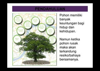 PENDAHULUAN
Pohon memiliki
banyak
keuntungan bagi
hidup dan
kehidupan.
Namun ketika
pohon rusak
maka akan
terkandung
resiko/bahaya
bersamanya.
 