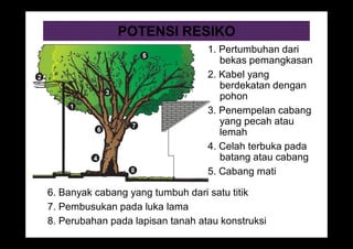 POTENSI RESIKO
1. Pertumbuhan dari
bekas pemangkasan
2. Kabel yang
berdekatan dengan
pohon
3. Penempelan cabang
yang pecah atau
lemah
4. Celah terbuka pada
batang atau cabang
5. Cabang mati
6. Banyak cabang yang tumbuh dari satu titik
7. Pembusukan pada luka lama
8. Perubahan pada lapisan tanah atau konstruksi
 