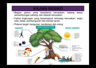 KAJIAN RESIKO
• Bagian pohon yang berpotensi kerusakan: batang besar,
persambungan cabang, dan sejarah kerusakan.
• Faktor lingkungan yang berpengaruh terhadap kerusakan: angin,
kilat, badai, pembangunan dan kondisi tanah.
• Potensi target: bangunan, kendaraan dan orang
 