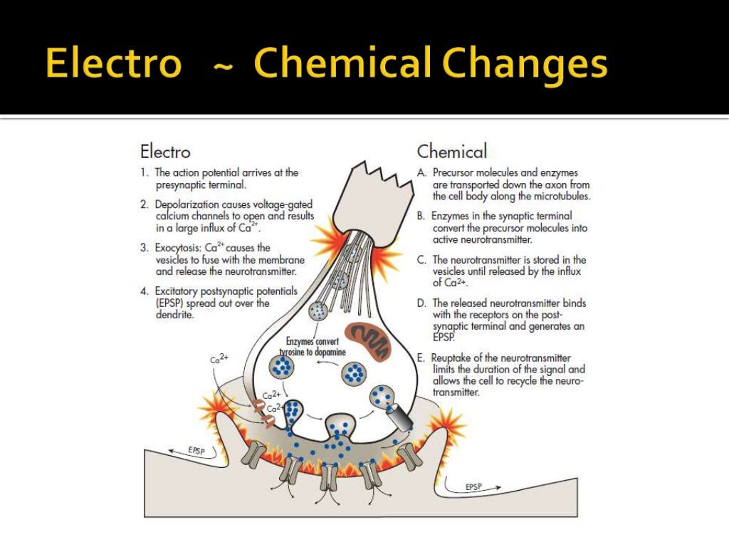 Electroconvulsive Therapy