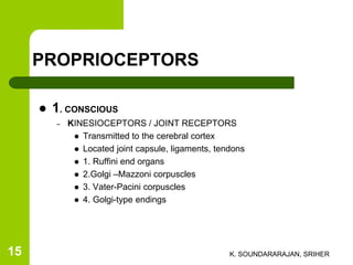 PROPRIOCEPTORS
 1. CONSCIOUS
– KINESIOCEPTORS / JOINT RECEPTORS
 Transmitted to the cerebral cortex
 Located joint capsule, ligaments, tendons
 1. Ruffini end organs
 2.Golgi –Mazzoni corpuscles
 3. Vater-Pacini corpuscles
 4. Golgi-type endings
K. SOUNDARARAJAN, SRIHER15
 