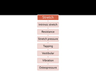 Stretch
Intrinsic stretch
Resistance
Stretch pressure
Tapping
Vestibular
Vibration
Osteopressure
 