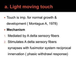  Touch is imp. for normal growth &
development ( Montague A, 1978)
 Mechanism
1. Mediated by A delta sensory fibers
2. Stimulates A delta sensory fibers
synapses with fusimotor system reciprocal
innervation ( phasic withdrawl response)
 