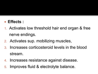  Effects :
1. Activates low threshold hair end organ & free
nerve endings.
2. Activates sup. mobilizing muscles,
3. Increases corticosteroid levels in the blood
stream.
4. Increases resistance against disease.
5. Improves fluid & electrolyte balance.
 