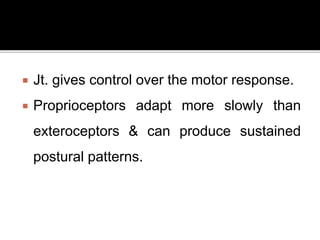  Jt. gives control over the motor response.
 Proprioceptors adapt more slowly than
exteroceptors & can produce sustained
postural patterns.
 