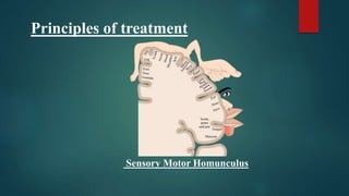 Principles of treatment
Sensory Motor Homunculus
 