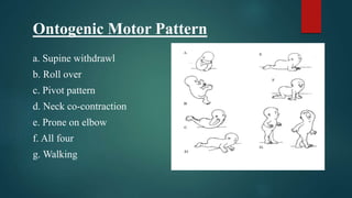 Ontogenic Motor Pattern
a. Supine withdrawl
b. Roll over
c. Pivot pattern
d. Neck co-contraction
e. Prone on elbow
f. All four
g. Walking
 