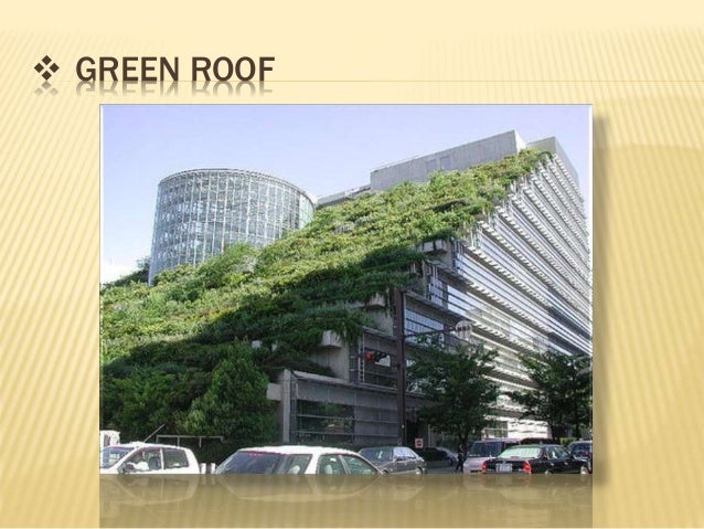 roof