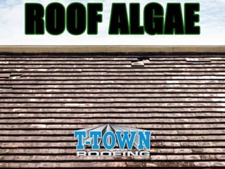 Roof Algae
By: T-Town Roofing
 