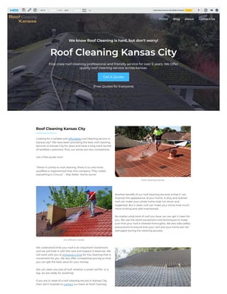 Roof Cleaning Kansas City.pdf