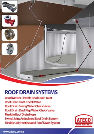 Roof drain Systems