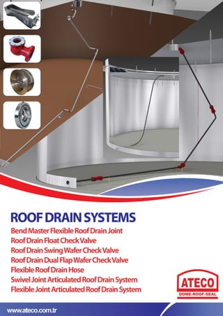 Roof drain system