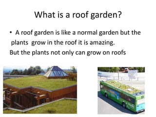 What is a roof garden?
• A roof garden is like a normal garden but the
plants grow in the roof it is amazing.
But the plants not only can grow on roofs

 