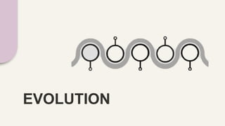 EVOLUTION
 
