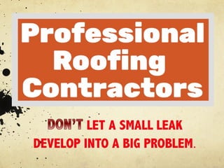 Roof Leak Repair Pro