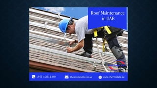 Roof maintenance in uae