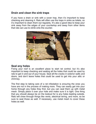 Drain and clean the sink traps
If you have a drain or sink with a cover trap, then it’s important to keep
checking and cleaning it. Rats will often use the traps in sinks as toilets, so
it’s important to clean them out regularly. It’s also a good idea to keep your
sink away from the edges of your countertop and away from other items
that rats can use to climb onto the counter.
Seal any holes
Fixing your roof is an excellent place to start rat control, but it’s also
important to keep checking and sealing all the holes that could be used by
rats to get in and out of your house. Seal all the cracks in exterior walls and
doors, and don’t leave holes that could be used to get into your attic or
chimney.
The first step to taking care of a rat infestation is ensuring the ones you
have are not in the process of making more. They can easily get into your
home through any holes they find, but you can seal them up with metal
mesh. Simply place it over your hole and make sure it is tight. One thing
that you should always be on the lookout for is any holes leading outside.
Rats will chew through things like vents, electrical wiring, and more, so be
sure to seal those as well. If necessary, use metal mesh to cover these
holes as well.
 