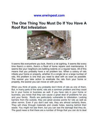 www.erwinpest.com
The One Thing You Must Do If You Have A
Roof Rat Infestation
It seems like everywhere you look, there’s a rat sighting. It seems like every
time there’s a storm, there’s a flood of home repairs and maintenance. It
seems like your neighbors are battling rodents on a regular basis. All of this
means that you probably have a rat problem too. When a colony of rats
infests your home or property, whether it’s a single rat or a large number of
rats, the problem is one that you need to deal with as soon as possible.
The sooner you take action to eradicate the rats from your home or
property, the sooner you can move on with your life.
When you think of pests, you probably don’t think of rats as one of them.
But, in many parts of the world, rats are a common problem and they could
be in your home or business as well. If you have rats in your home or
business, you know that they can cause a great deal of problems for you
and your family. Roofs are particularly vulnerable to infestation. Lacking
barriers from the outside, they are great access points for rats as well as
other vermin. Even if you don’t see rats, they are almost certainly there.
They will chew through materials and create holes, leaving behind their
waste. You might not see them, but you can see the damage that they do.
The good news is that there are a number of things that you can do to deal
 