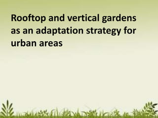 Rooftop and vertical gardens
as an adaptation strategy for
urban areas
 