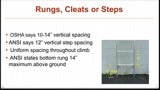 Rooftop Ladders Slide Share | PPTX