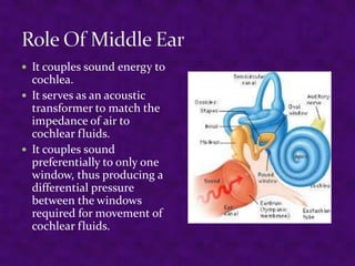  It couples sound energy to

cochlea.
 It serves as an acoustic
transformer to match the
impedance of air to
cochlear fluids.
 It couples sound
preferentially to only one
window, thus producing a
differential pressure
between the windows
required for movement of
cochlear fluids.

 