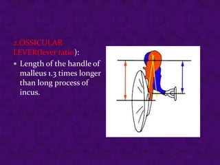 2.OSSICULAR
LEVER(lever ratio):
 Length of the handle of
malleus 1.3 times longer
than long process of
incus.

 