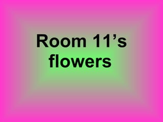 Room 11’s flowers   